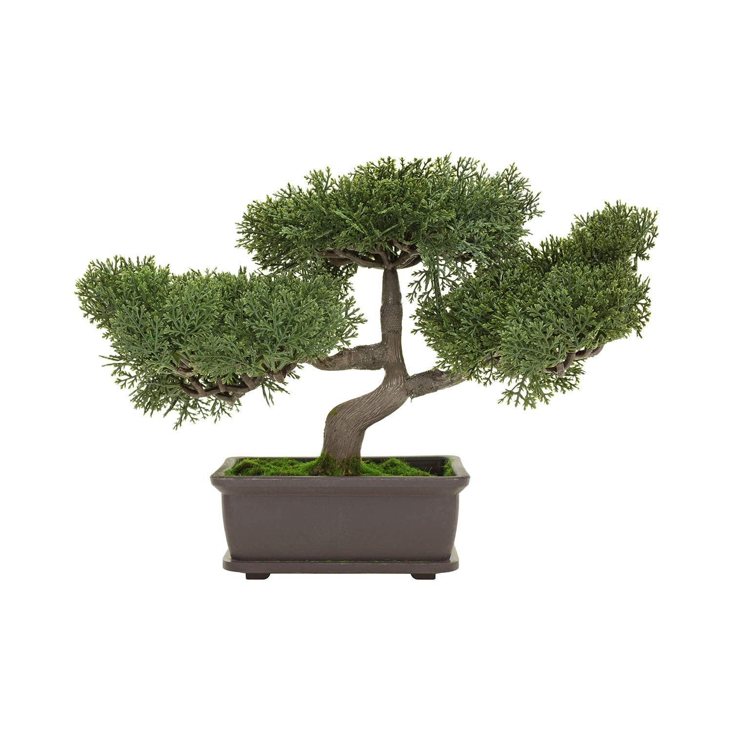 C Crystal Lemon bonsai pot side view highlights a 6-inch opening.