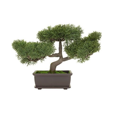 C Crystal Lemon bonsai pot side view highlights a 6-inch opening.