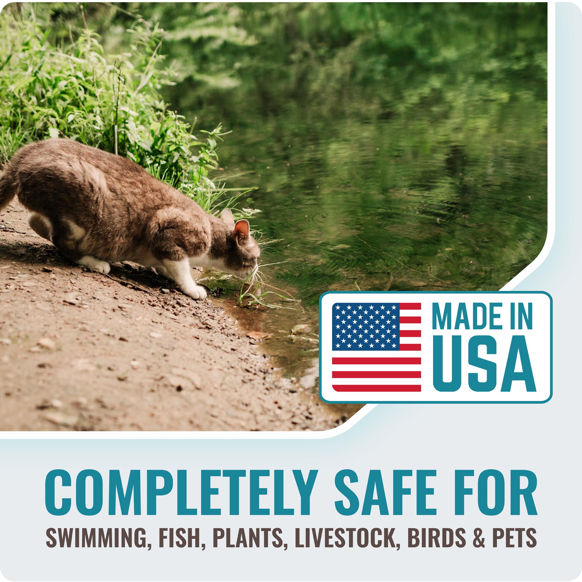 Cabin Obsession Pond Clear offers about 8 months of reliable pond maintenance
