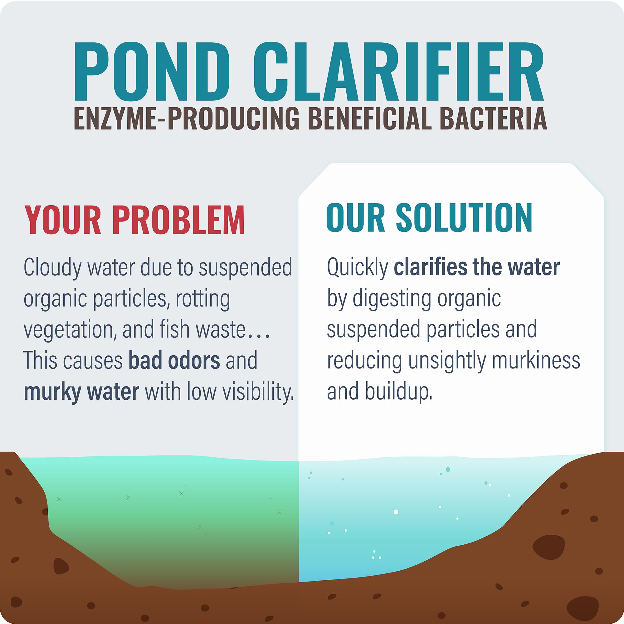 Cabin Obsession Pond Clear demonstrates clearer outdoor pond water over time