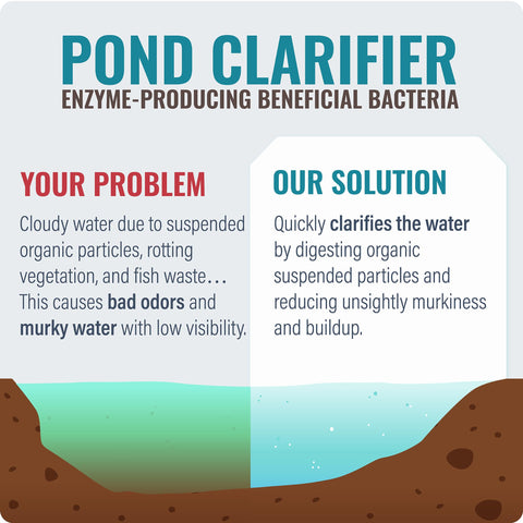 Cabin Obsession Pond Clear demonstrates clearer outdoor pond water over time