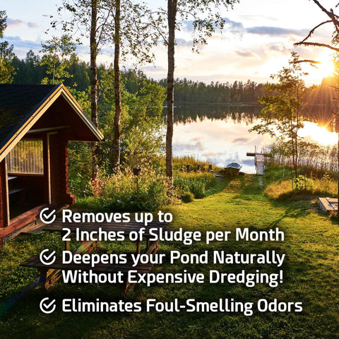 Cabin Obsession Pond Sludge Remover pellets dissolving enzymes for breakdown.