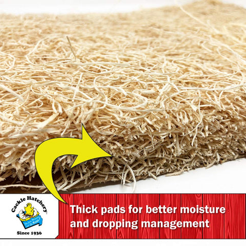 Cackle Hatchery easy egg gathering elevates eggs for quick collection