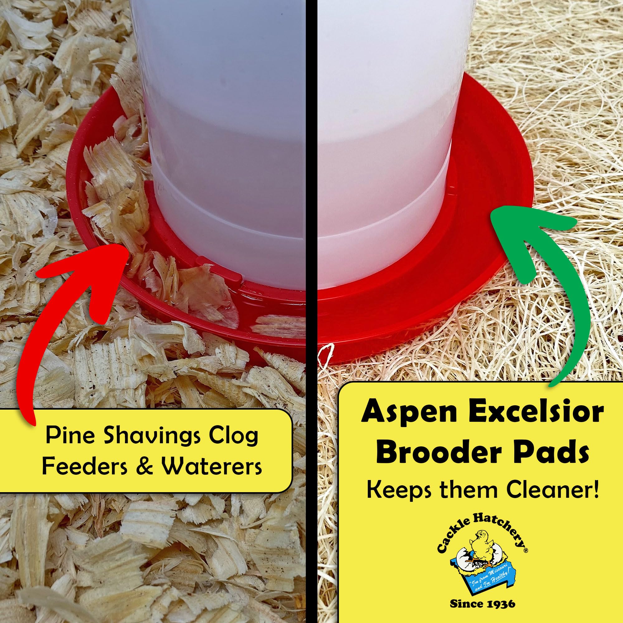 Under feeders and waterers, Excelsior pads help keep messes to a minimum