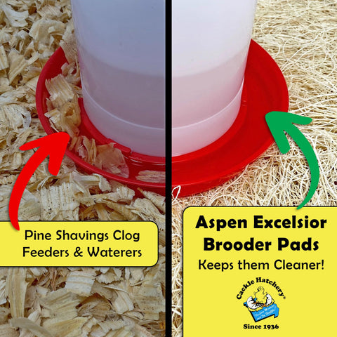 Under feeders and waterers, Excelsior pads help keep messes to a minimum