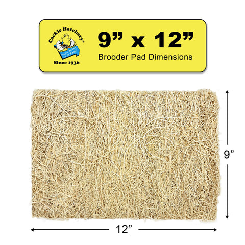 Replacement is simple—swap only soiled pads to reduce bedding waste