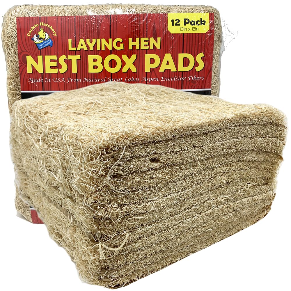 Cackle Hatchery nest box pad inside box promotes hen comfort and easier egg pickup