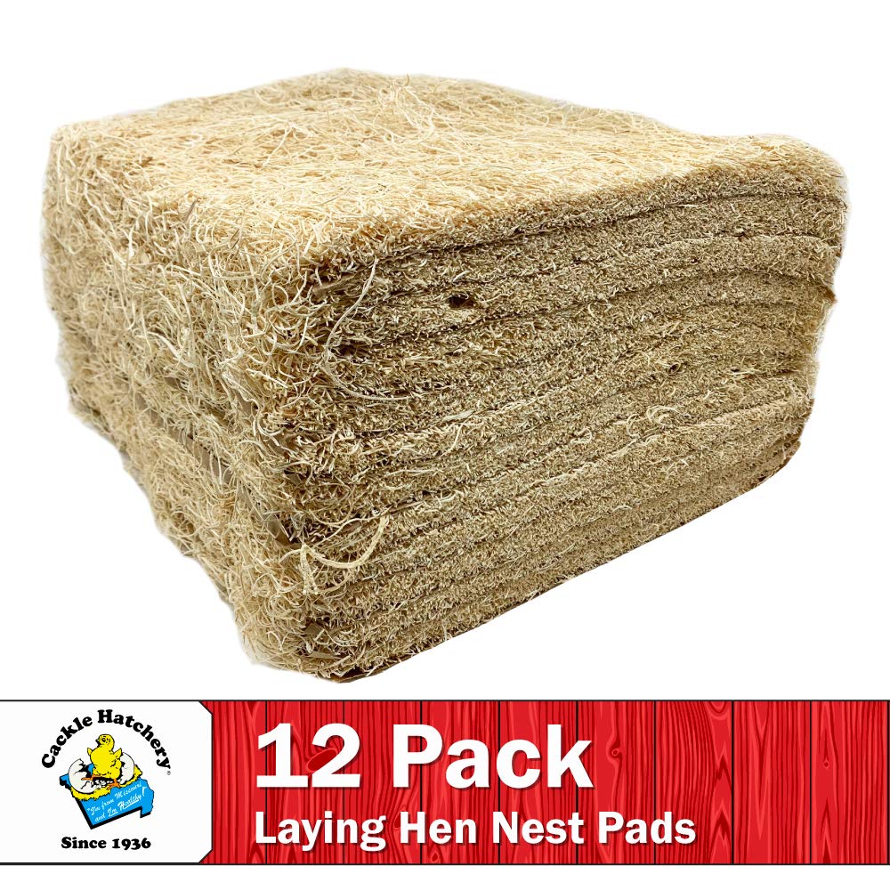 Cackle Hatchery nest pad setup shows simple placement for nesting comfort