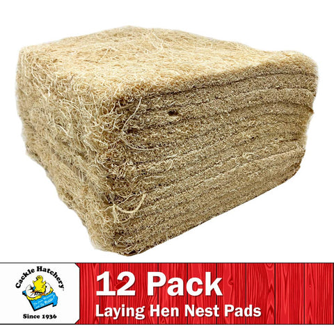 Cackle Hatchery nest pad setup shows simple placement for nesting comfort