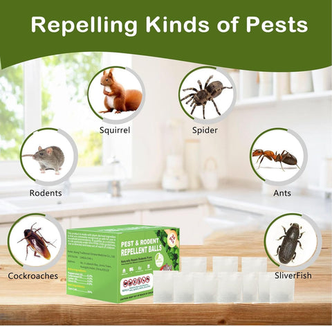 CACUTUSGO indoor-outdoor use scene demonstrates versatile placement for pest deterrence