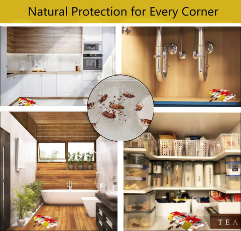 CACUTUSGO long-lasting protection keeps roaches contained for weeks