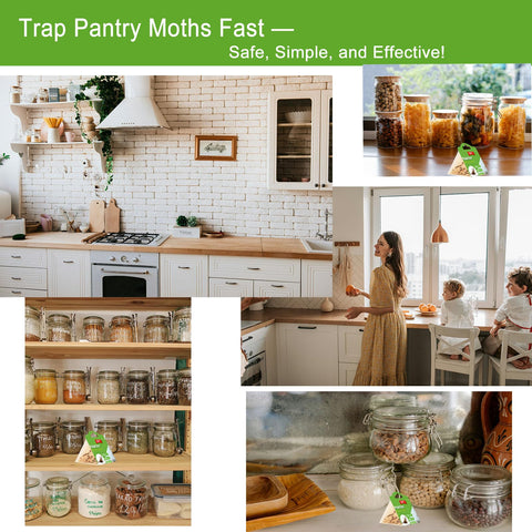CACUTUSGO 6 pack traps ready for deployment and monitoring in pantry