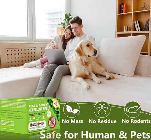 CACUTUSGO plant-based ingredients illustration emphasizes natural composition for safe home use