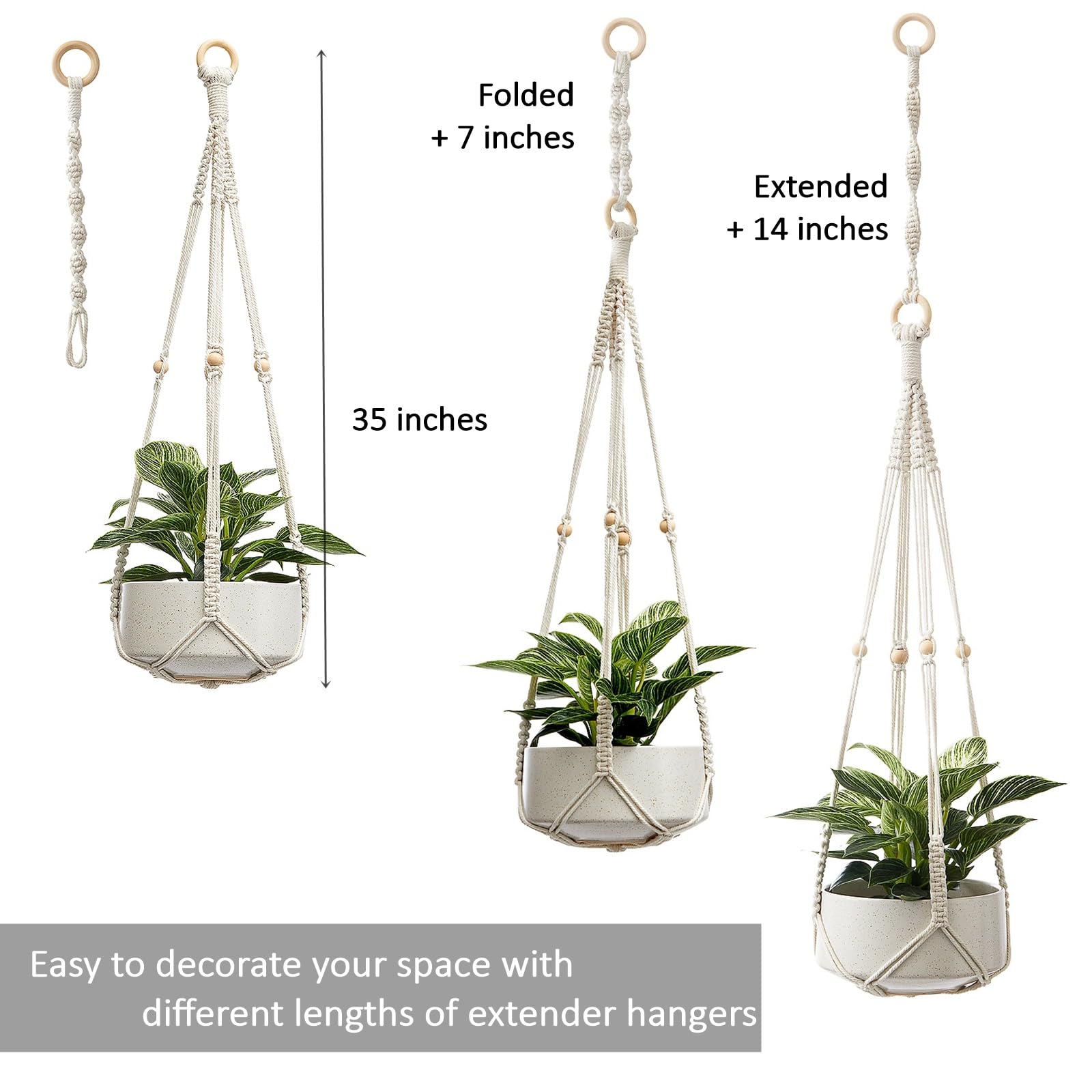 CADNLY ceiling-wall mount hanger highlights ceiling and wall display potential.