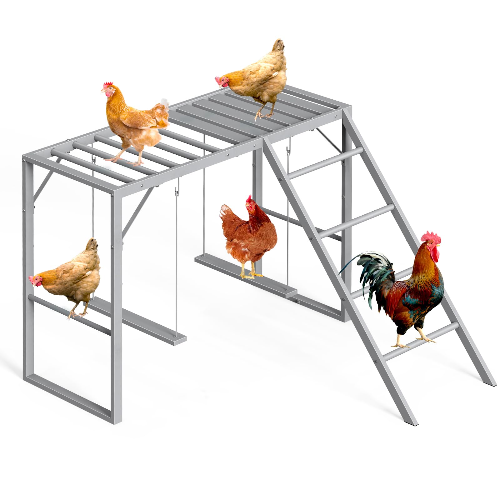 CADUKE chicken perch swing with four perches and two swings for active hens