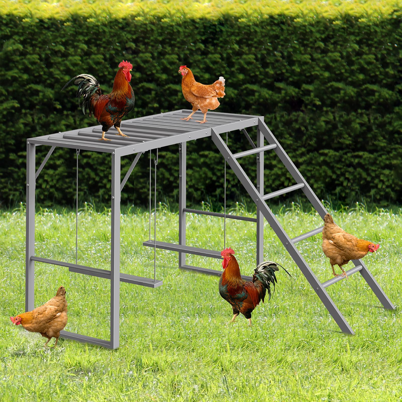 CADUKE four-layer roosting design encourages leg exercise and balance
