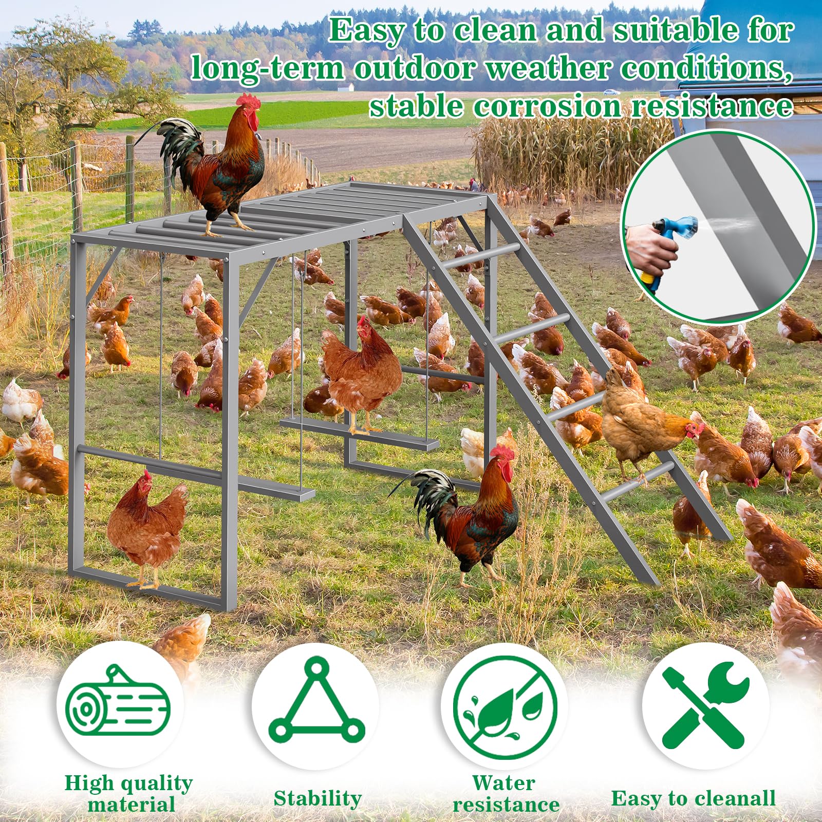 CADUKE metal chicken swing set designed for durable outdoor use
