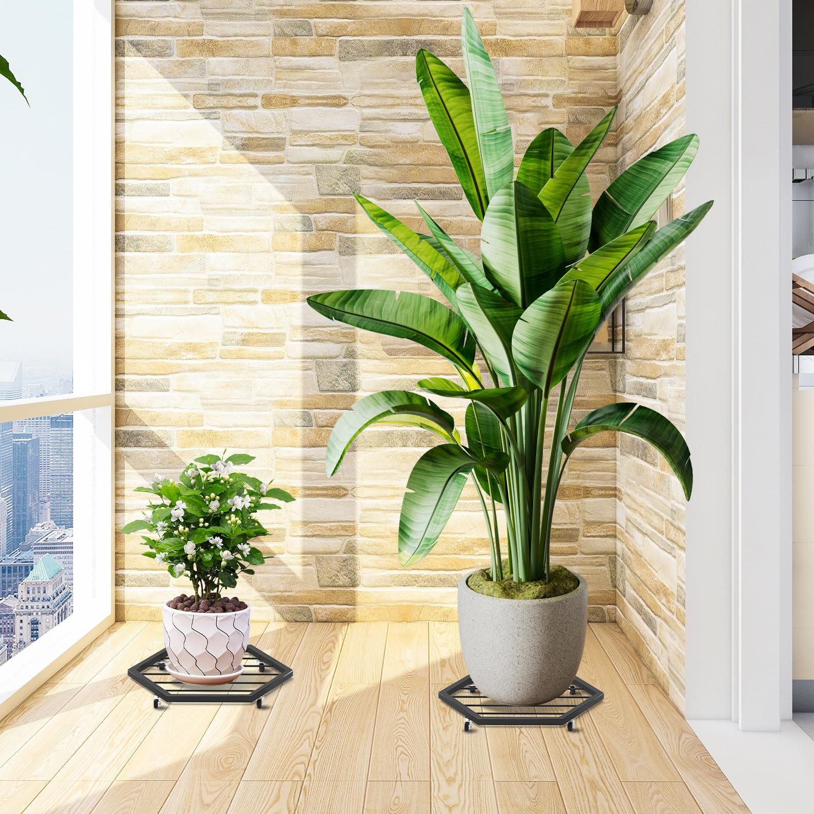 CADUKE rolling stand makes rotating pots for sunlight effortless.
