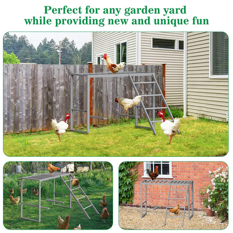 CADUKE roosting bars with ladder offering secure chicken resting in coop
