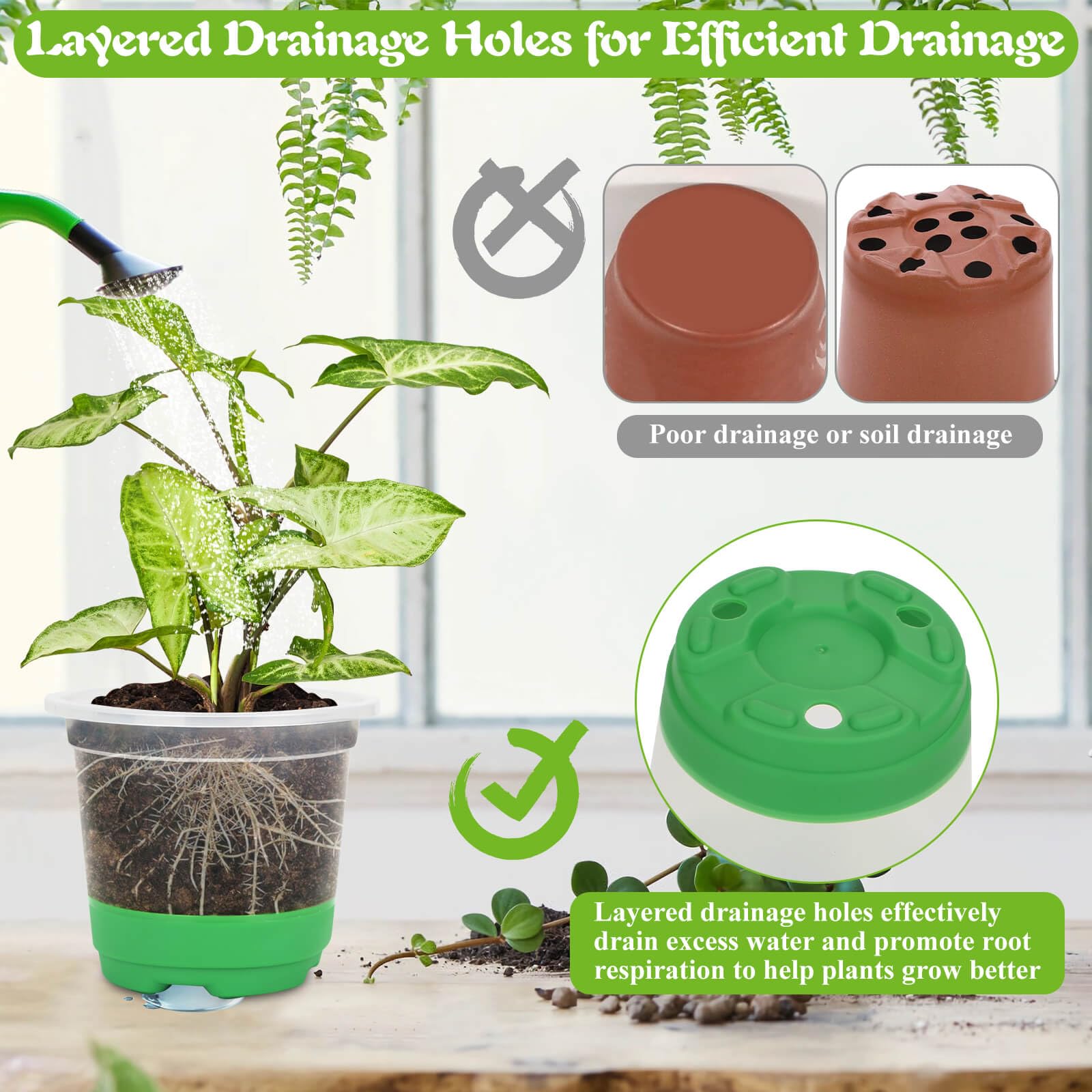 Caffox clear seedling pots let you observe roots and moisture clearly