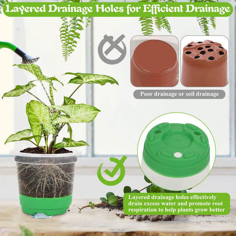 Caffox clear seedling pots let you observe roots and moisture clearly