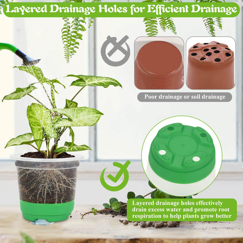Caffox seedling pots showing drainage holes for healthy roots