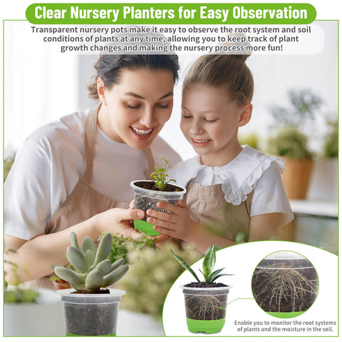 Caffox gardening gloves protect hands while handling soil and seedlings.