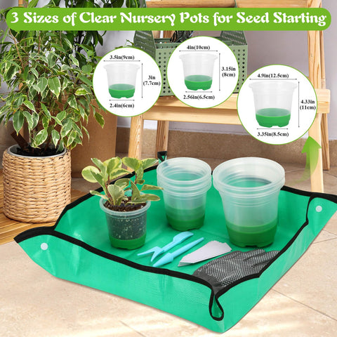 Caffox gardening gloves protecting hands during seedling handling