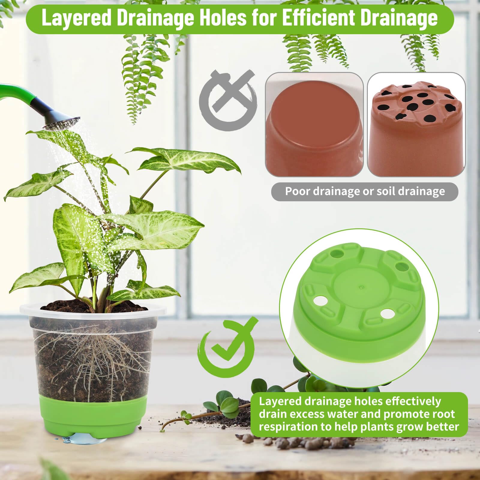 Caffox plant labels help track varieties and growth progress.
