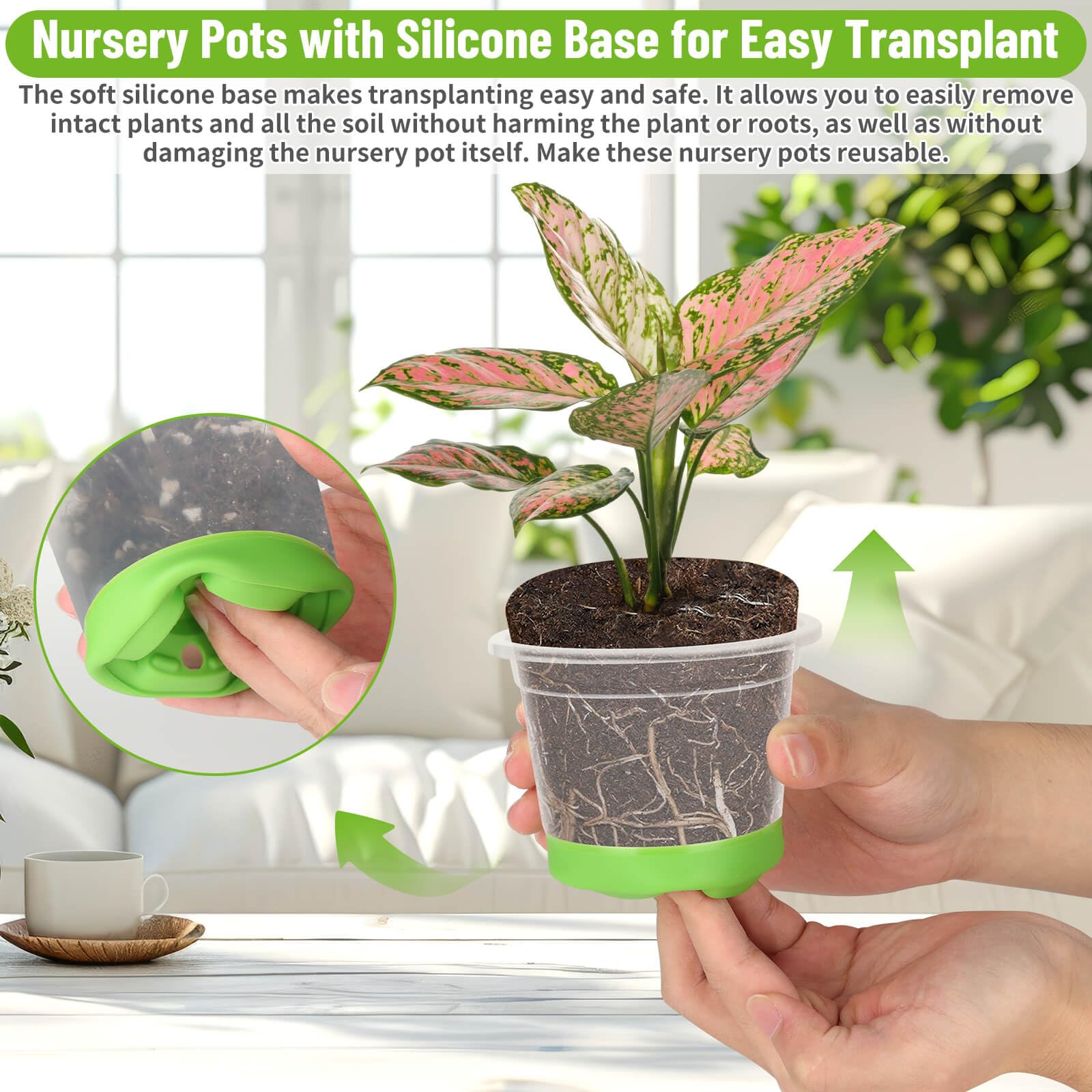 Caffox repotting mat keeps surfaces clean during transplanting.