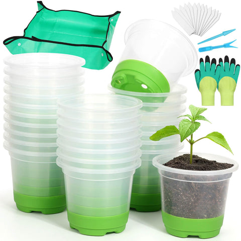 Caffox seed starter kit 26 pots with silicone base for easy transplanting and root protection.