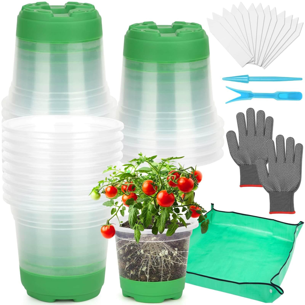Caffox seed starter kit clear pots with silicone bases ease transplant without root damage