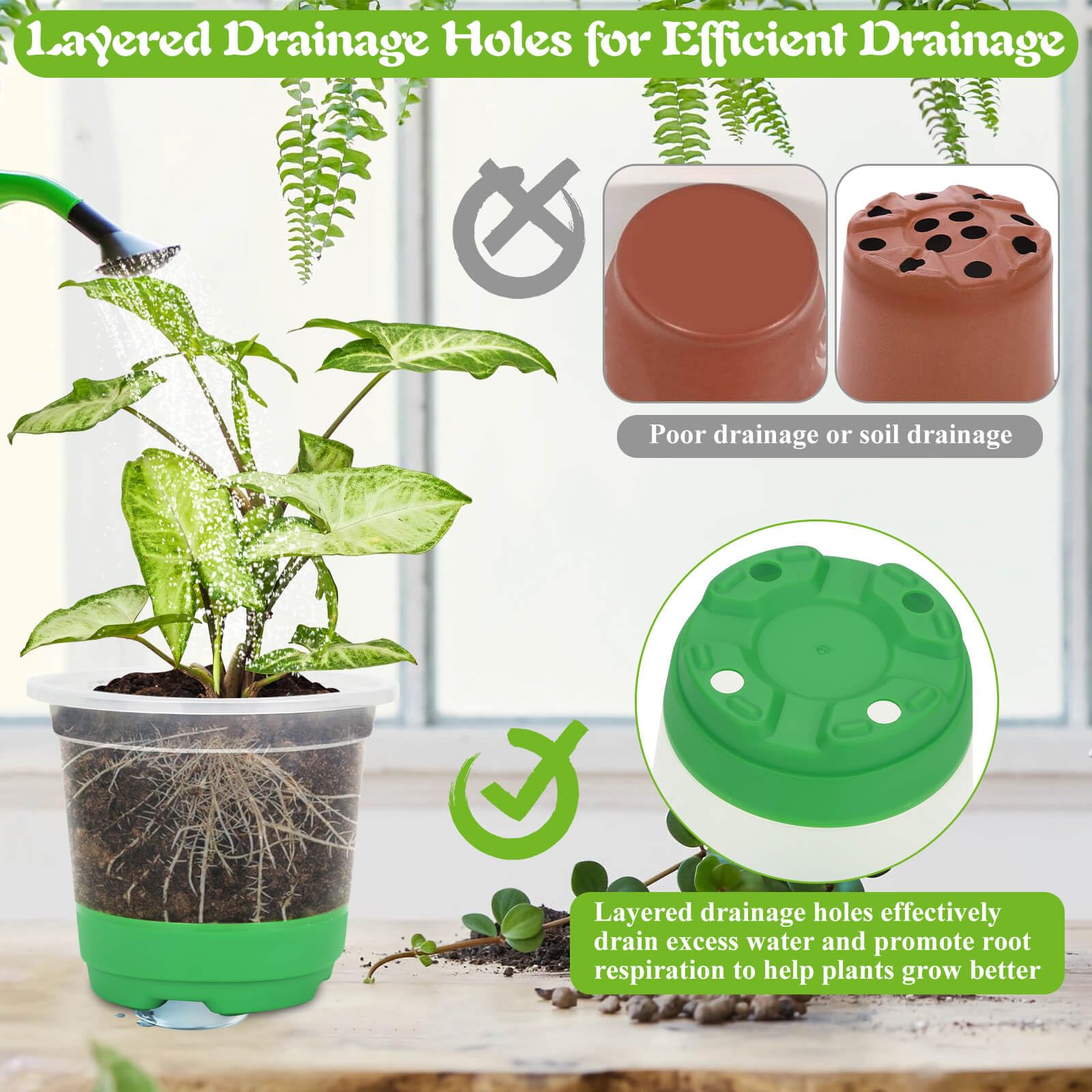 Caffox transparent pot view showing root and moisture observation