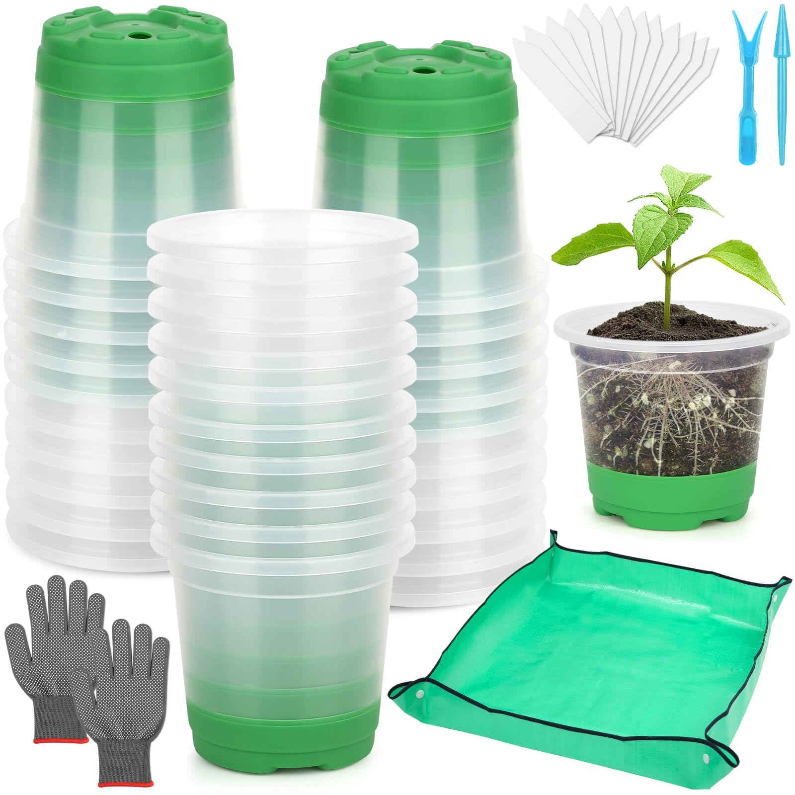 Caffox seedling pots with silicone base for easy transplanting and gentle root handling