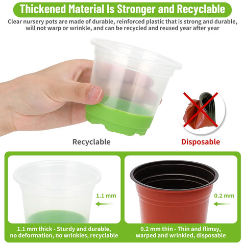 Caffox seedling tools simplify transplant and maintenance tasks.