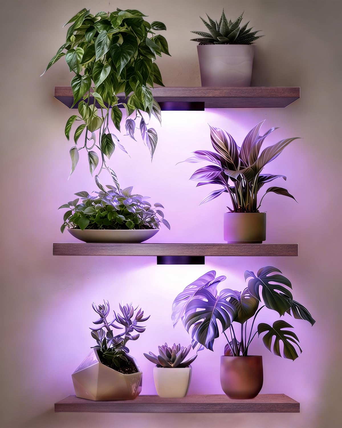 CaHomet floating wall shelf set with three units for plants and decor.