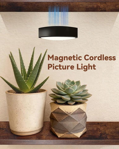 CaHomet remote control LED light enables easy dimming and timers.