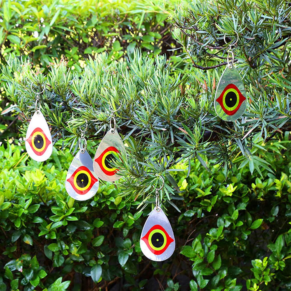 Cainda reflective sun pattern deters birds near windows and patios.
