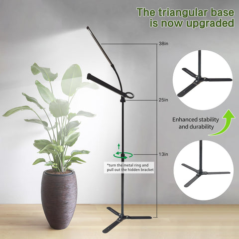 CalKoo seedling germination support promotes early plant growth.
