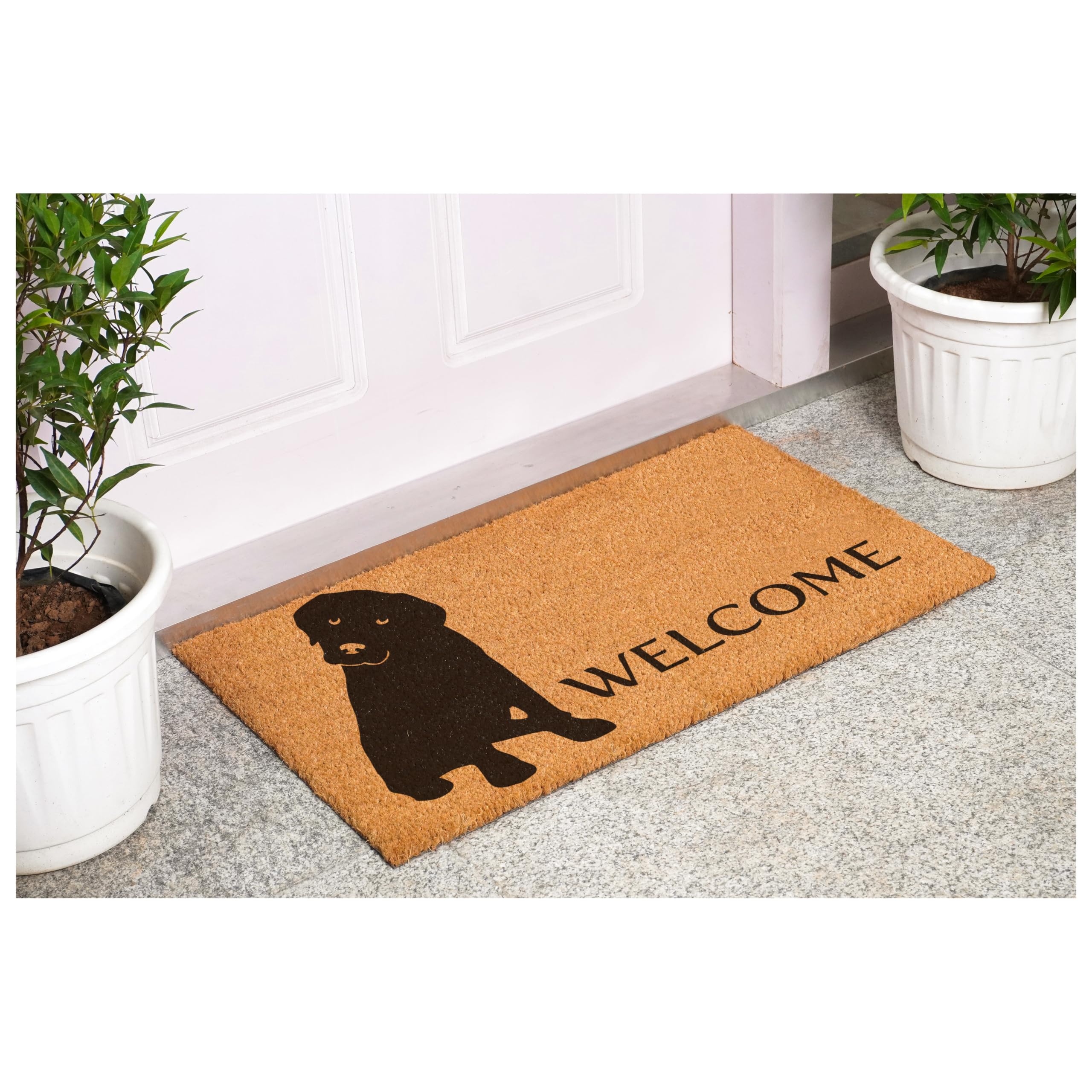 Natural aesthetic of Calloway Mills Labrador Doormat complements modern entrances.