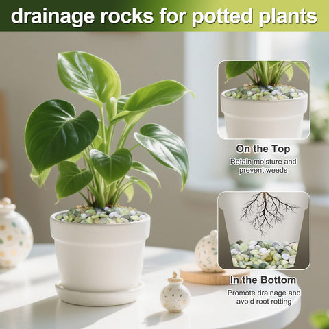 Calofulston jade pebbles provide drainage and weed suppression at pot base
