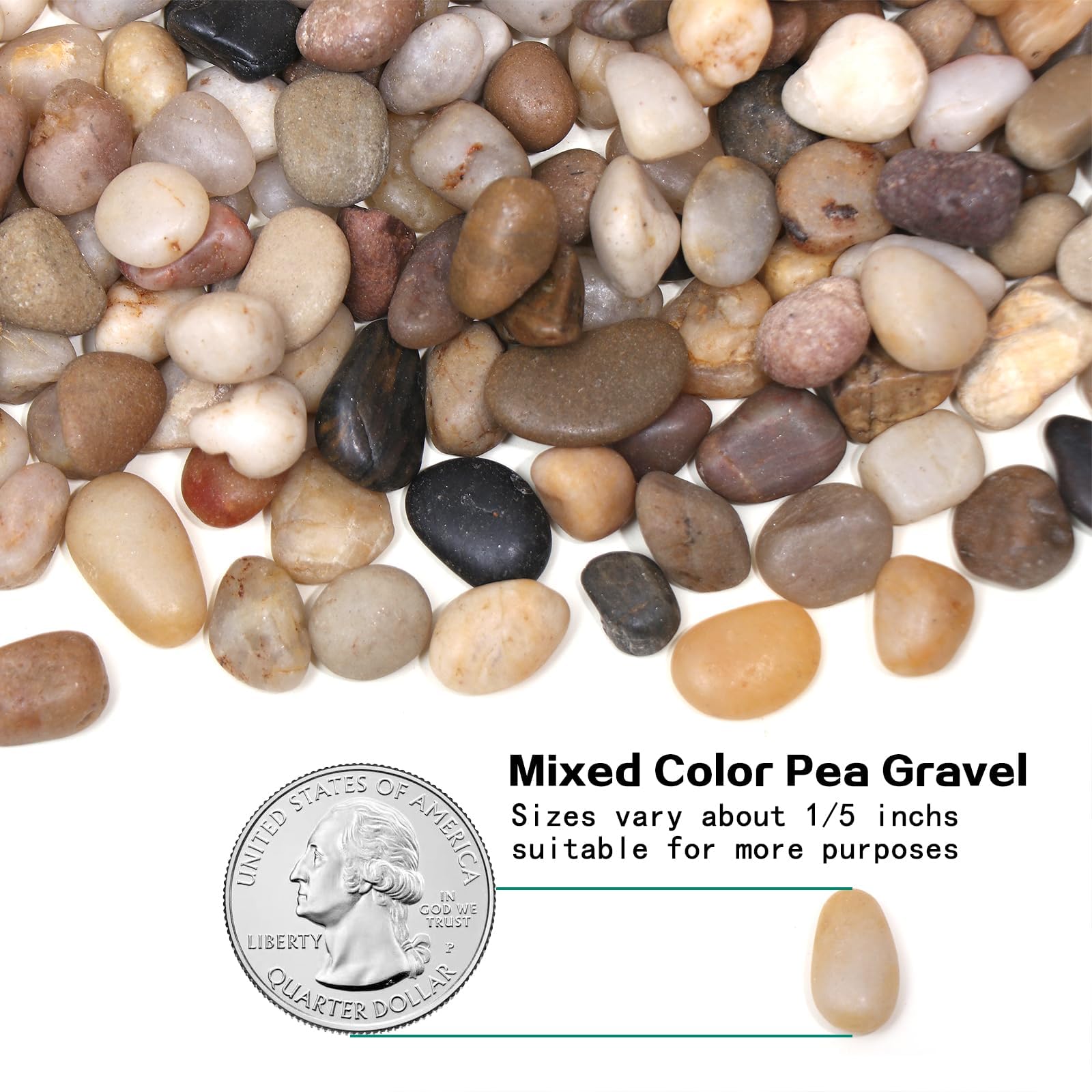 Calofulston terrarium pebbles offer natural color and breathable substrate.