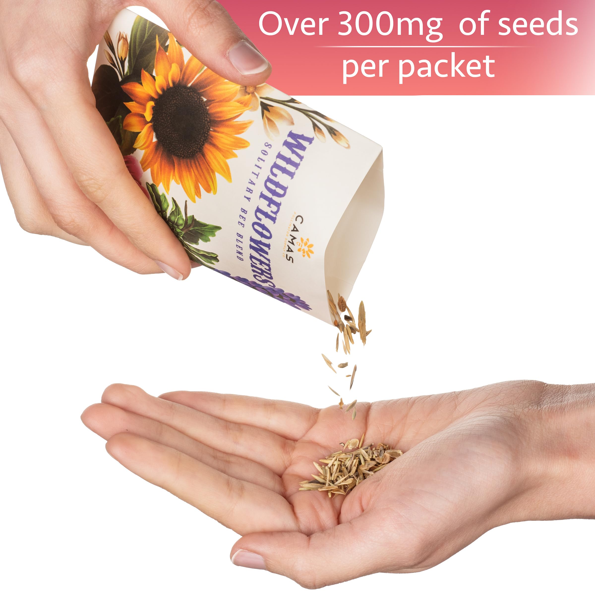 Camas pollinator seed packets attract bees and butterflies in your garden.