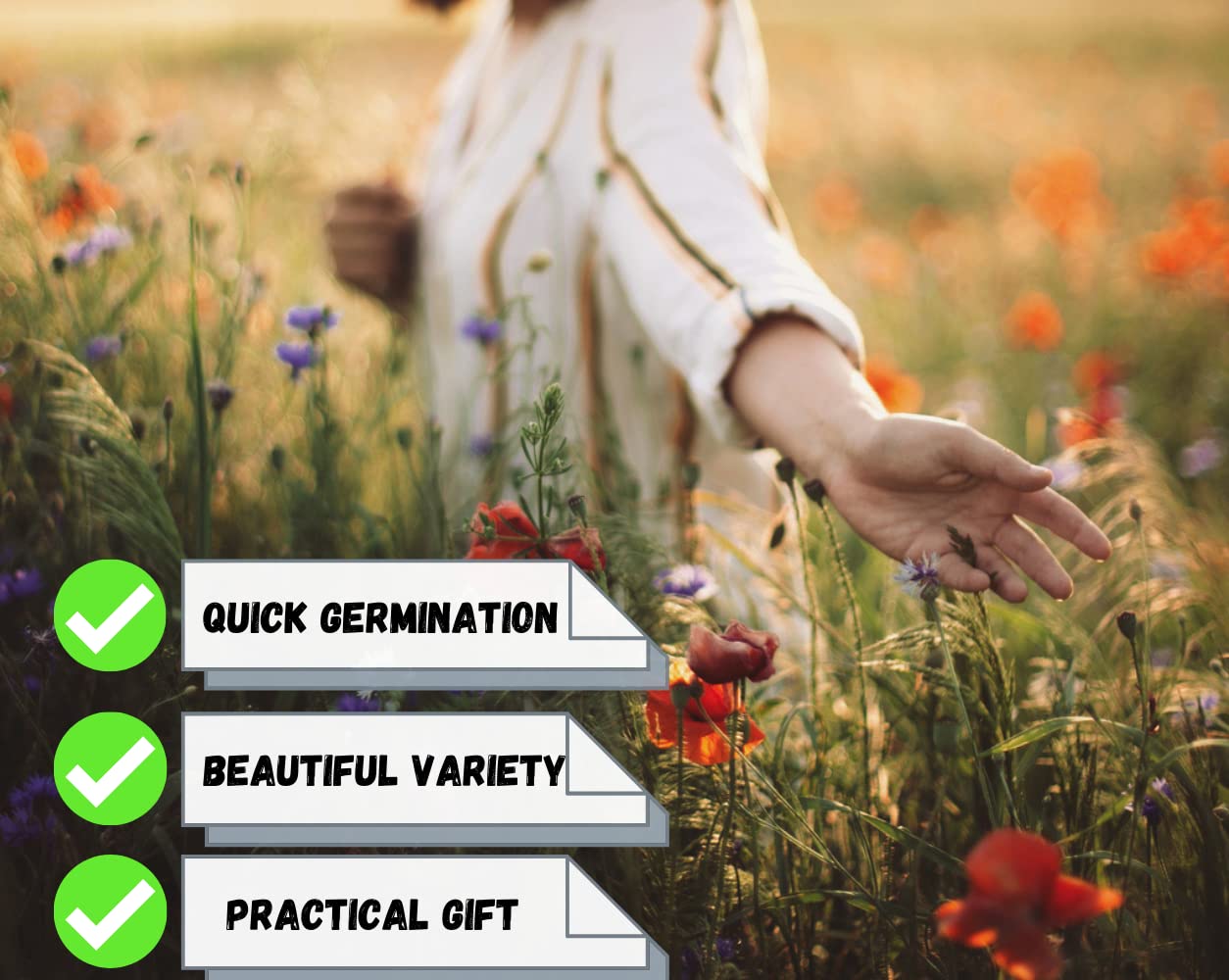 Camas pollinator seed packets bring color to your garden beds.