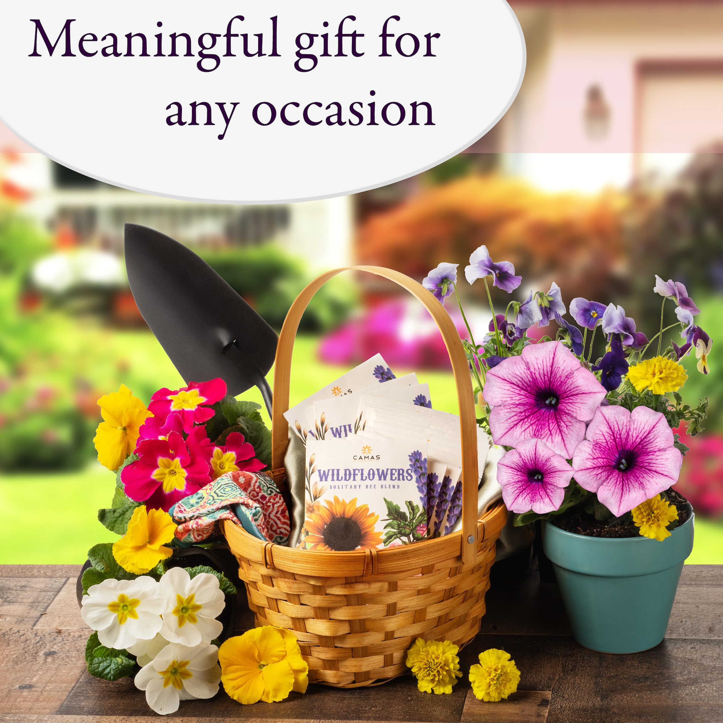 Camas pollinator seed packets offer easy growth and quick germination.