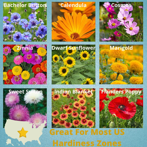 Camas pollinator seed packets make charming wedding favors that support pollinators.