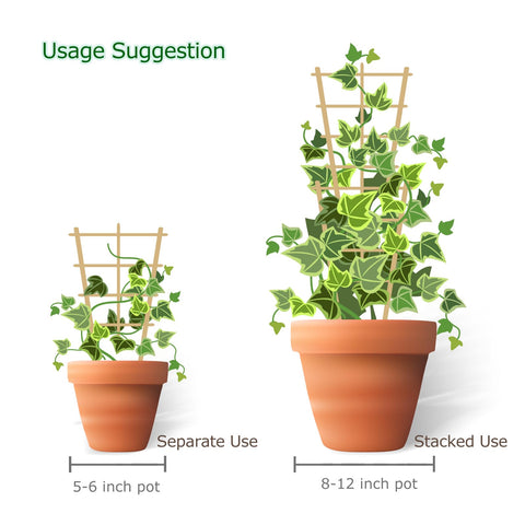 Cambaverd 16in fan-shaped trellis for indoor plants and vines