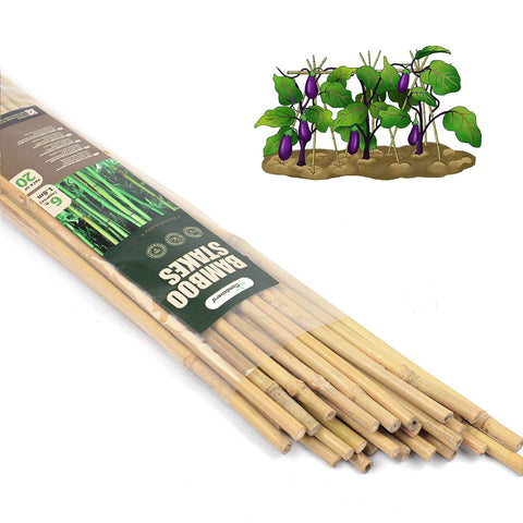 Cambaverd 6ft bamboo stake planted in soil supports growing plants for sturdy garden setup.