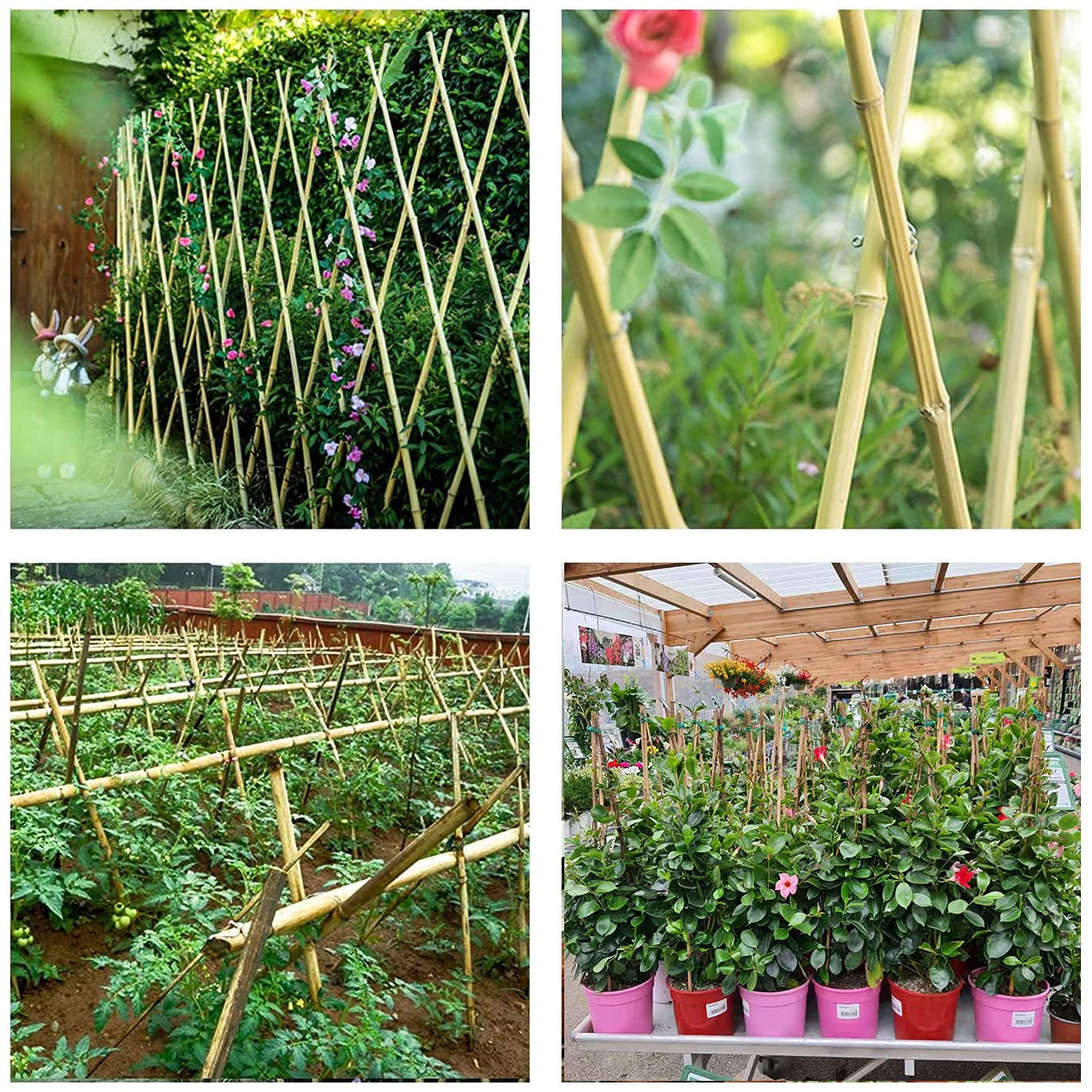 Cambaverd bamboo stake for quick ground installation in the garden.
