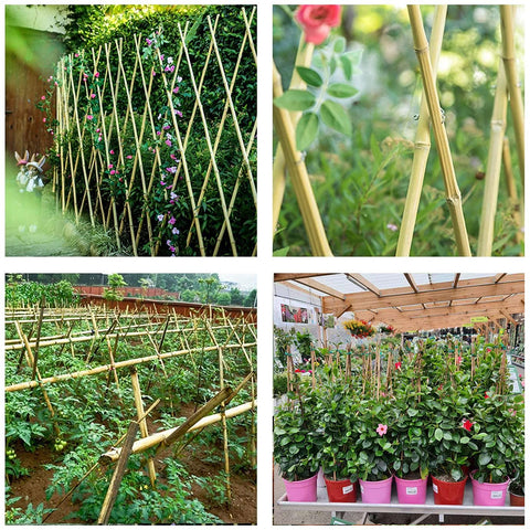 Cambaverd bamboo stake for quick ground installation in the garden.